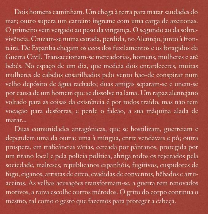 O Gesto Que Fazemos para Proteger a Cabeça AM Carvalho [Portes Grátis]