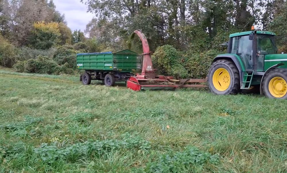 Sieczkarnia do poplonów, traw, zielonek JF. Stan BDB