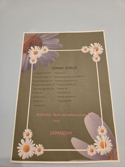 Sprzedaż roślin,bylin