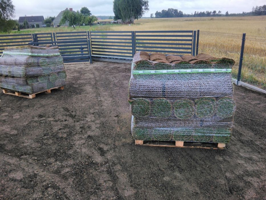 ROL-TRAW Trawa rolowana trawnik z rolki darń trawnik rolowany
