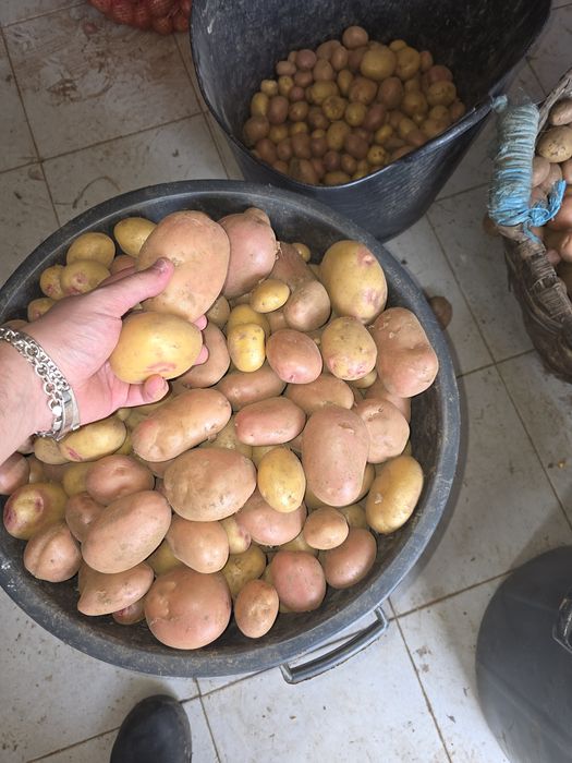 Venda batata nova 20kg por apenas 14€ -0,70€/ o Quilo - Avó Mimi - Castelo de Paiva -Telf:911588868