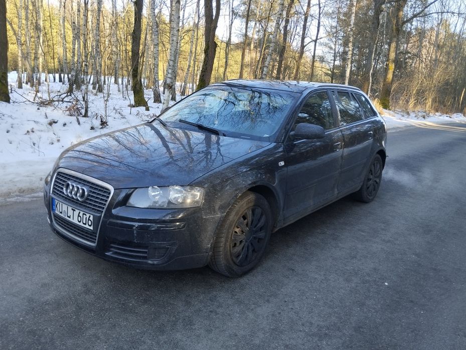 Audi a3 8p 1.6 102KM Klima 5-Drzwi Panora Dach