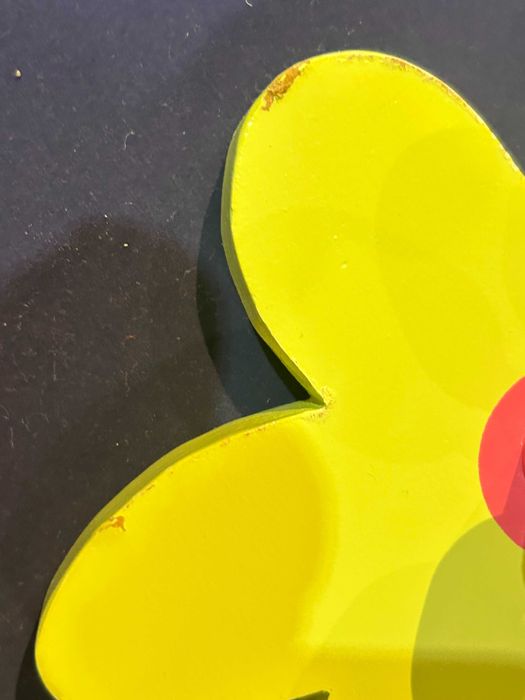 Cabides Flores Coloridas