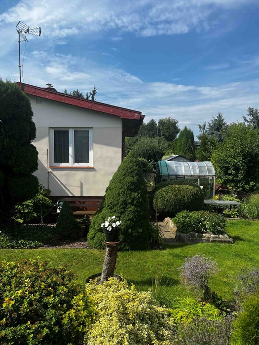 działka Wierzchucinek - Widok 2