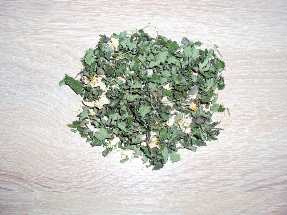 Липа. Лопух. Підмаренник. Фіалка. Омела. Конюшина. Деревій. Осика.