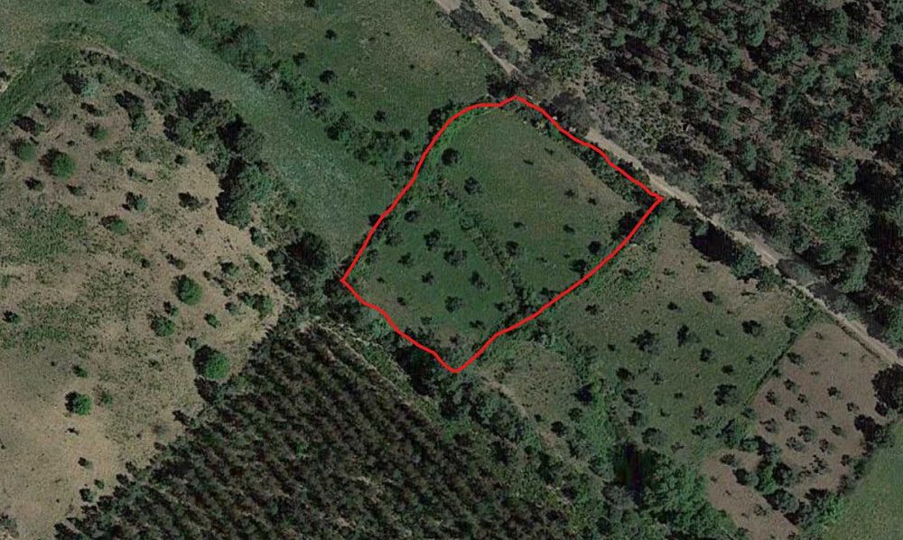 Terreno Rústico | 3.750 m2 | Olival