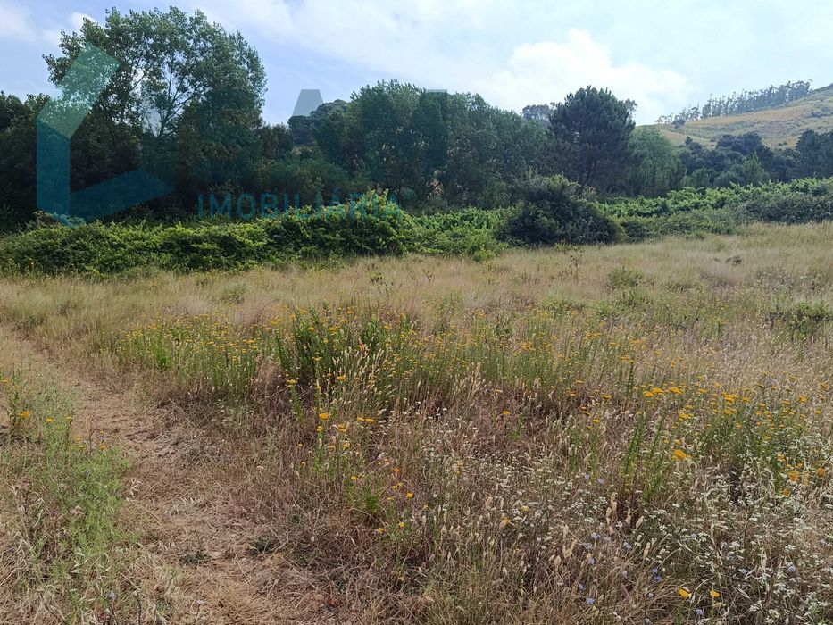 Oportunidade ÚNICA VENDE-SE TERRENO MONTE REDONDO TORRES VEDRAS