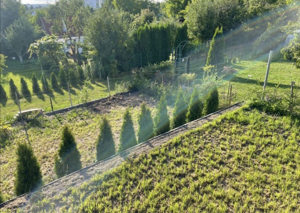 Dzialka ROD ul Sikorskiego Olsztyn - Widok 6