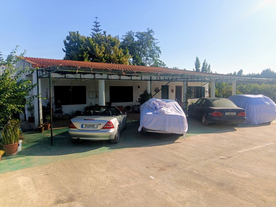 Quinta com 12000 m2 na Quinta do Anjo - venda a pronto pagamento