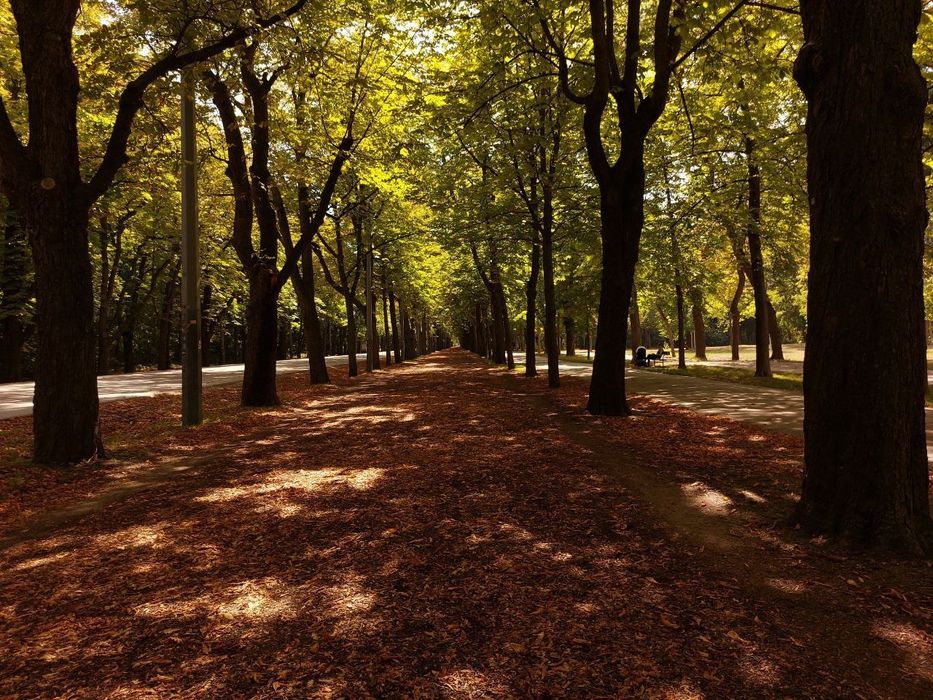 Фотограф та відеограф ДЕШЕВО
