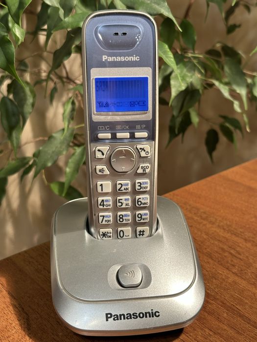 Стаціонарний телефон Panasonic KX-TG2511UA
