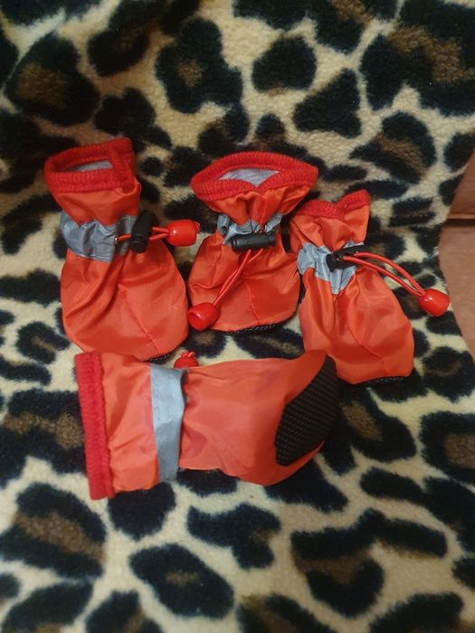 Обувь для собак новая комплект красного цвета