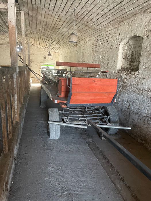 Zamienię na konie kuce