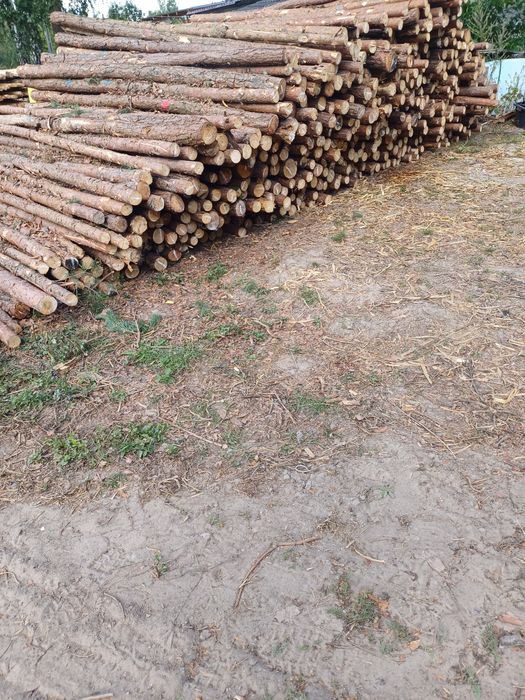 Stemple Drewniane Nowe  Transport