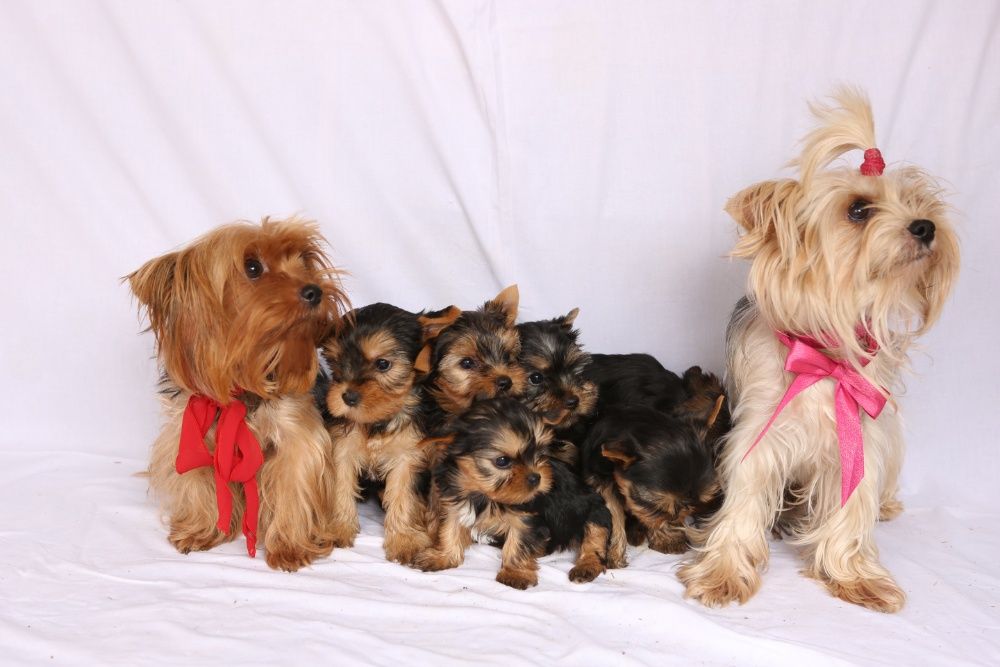 Мальчики и Девочки !