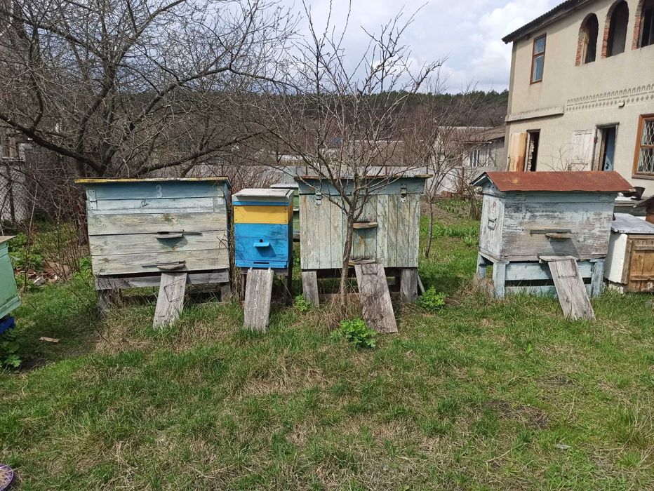 Продам вулики Хмельницька область