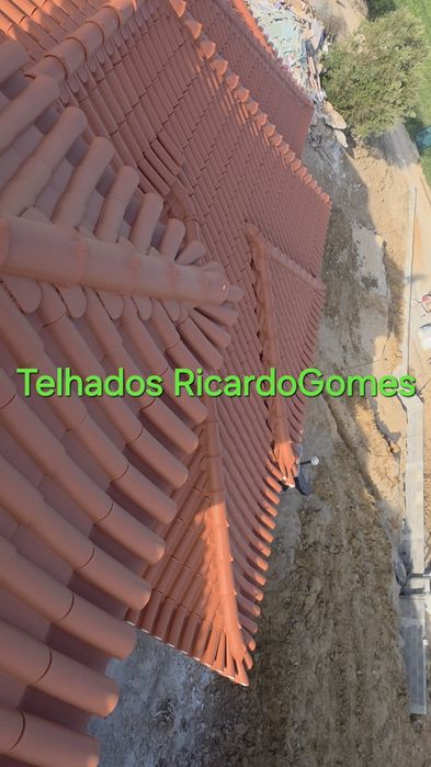 Telhados/Limpeza/Impermeabilização/Infiltrações/Pinturas Gerais/Remodelações