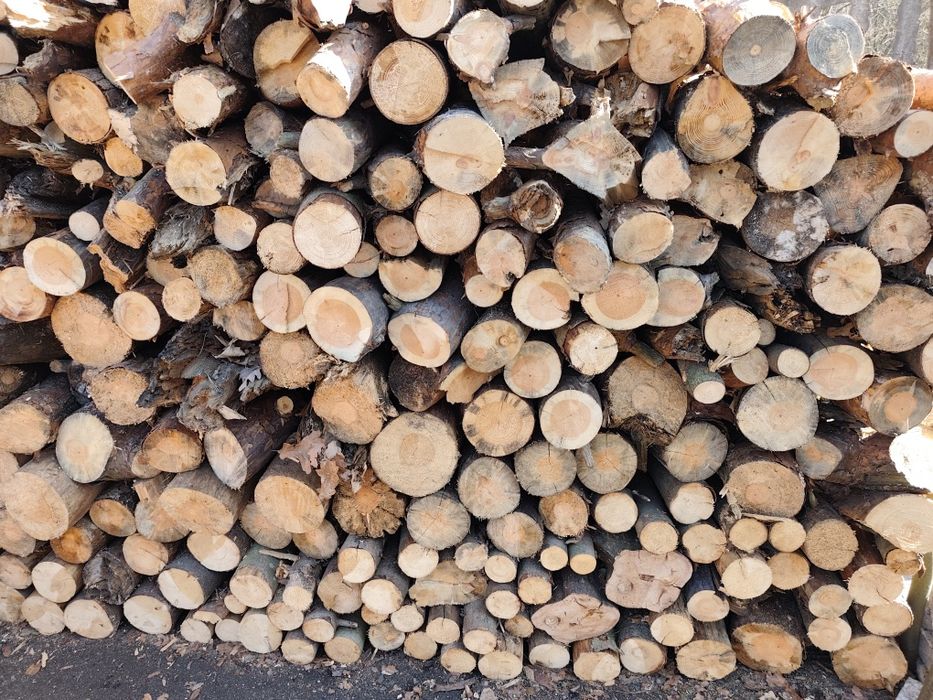 Drewno opałowe sosna transport