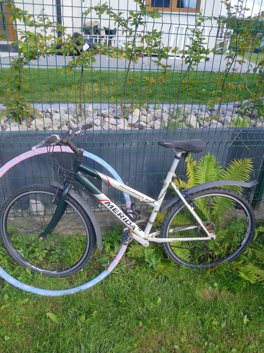 Rower damski Merida