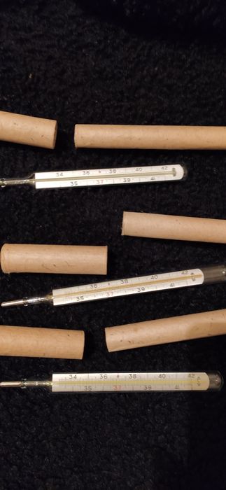 Термометр ртутний