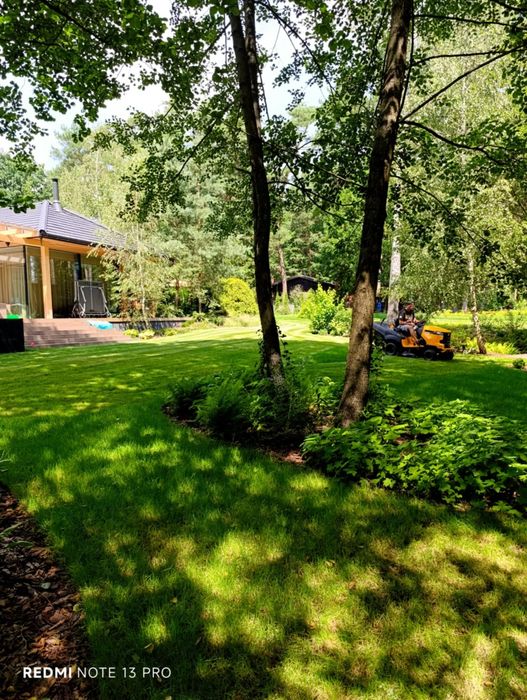 Czyszczenie działek pielęgnacja ogrodów