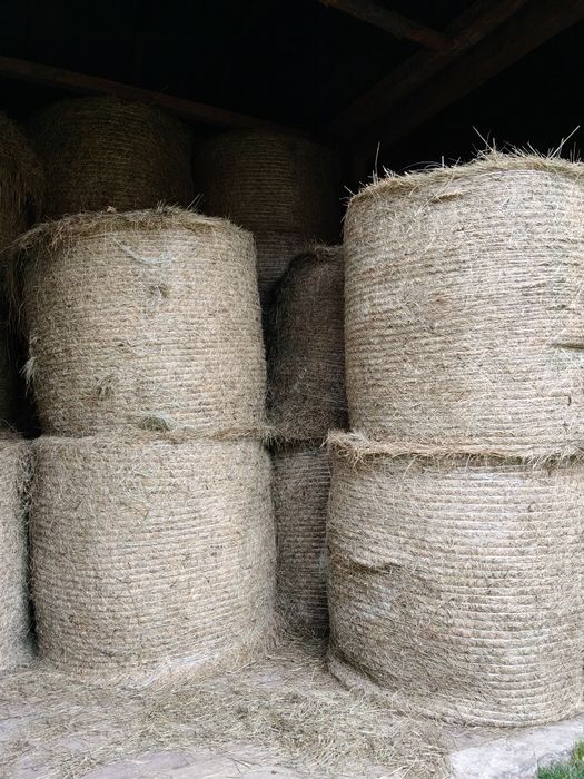 Sprzedam siano  w belach