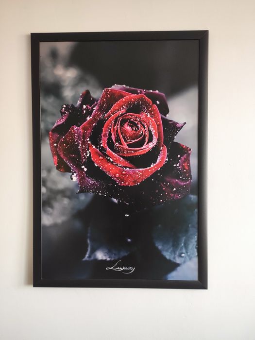 Sprzedam Obraz 66x96 cm