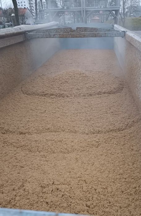 Młóto browarniane jęczmienne dla bydła