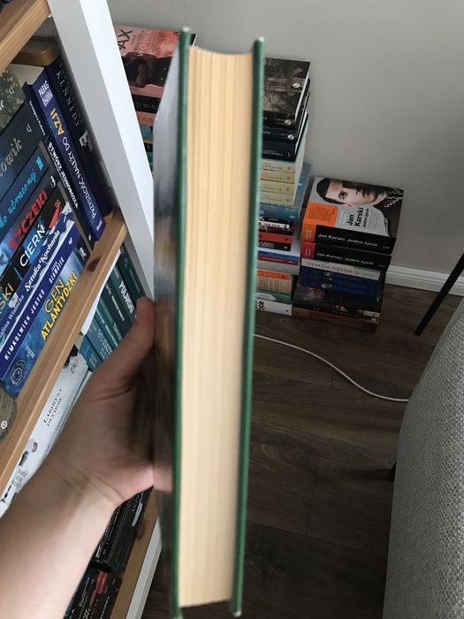 Ania z zielonego wzgórza Lucy Maud Montgomery wyd Literackie