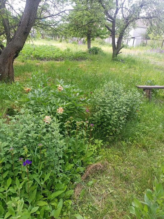 Продам будинок пров. Північний (р.н Марʼянівки)