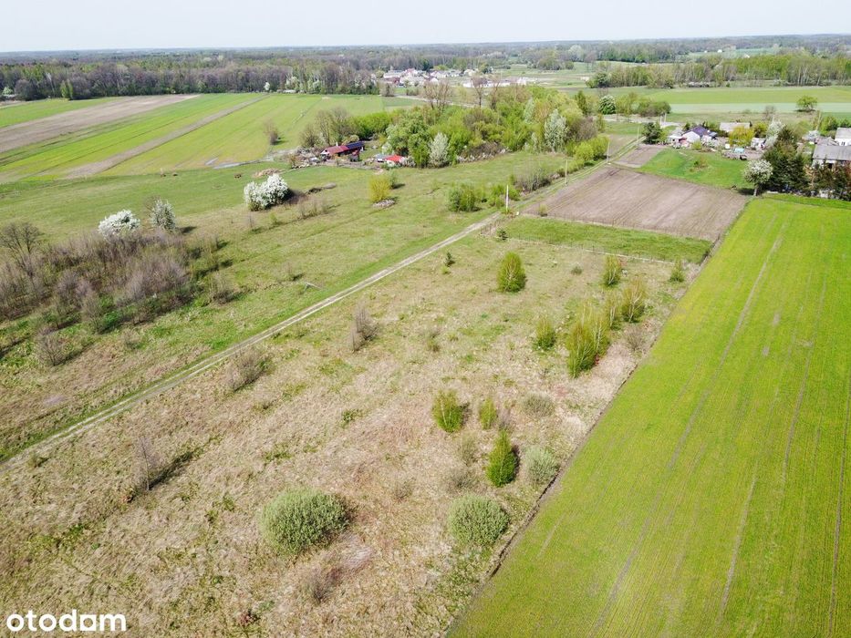 Działka budowlana 3000 m²  w spokojnej wsi Budy Ciepielińskie – pohled 5