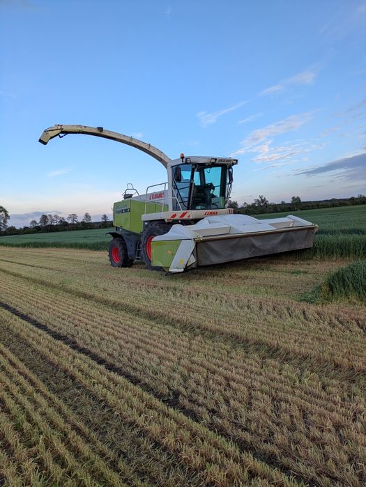 Usługa zbioru żyta, lucerny ,traw itp. Sieczkarnią  Claas Jaguar.Prasowanie siana, słomy