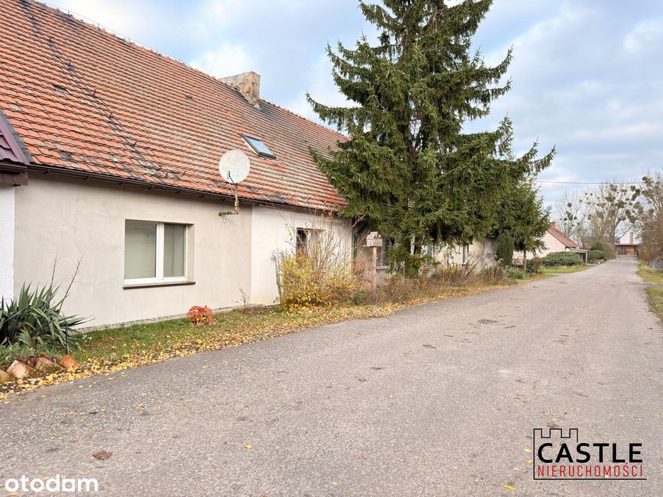 Segment z ogródkiem w Runowie