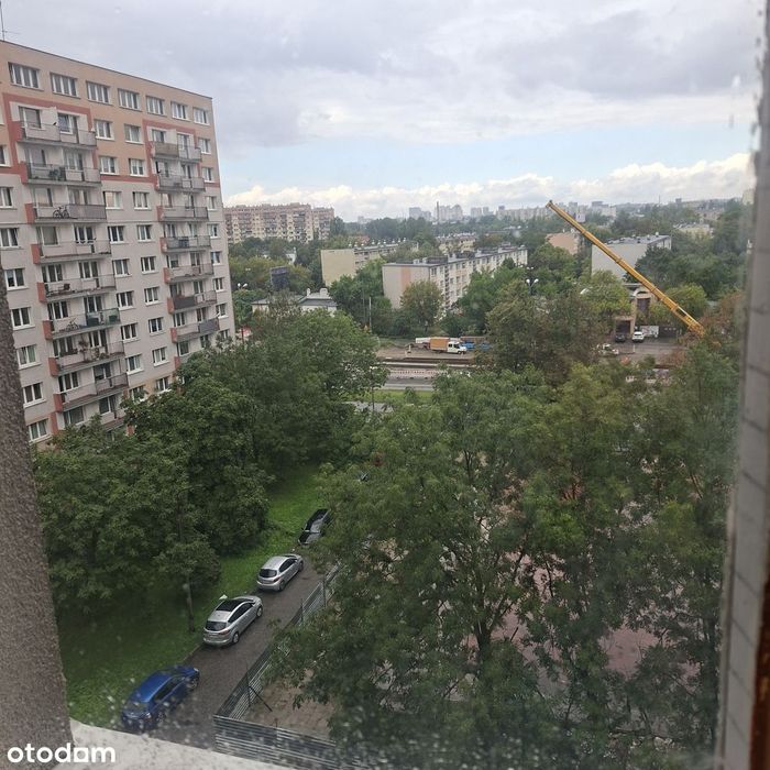 Zdjęcie 3
