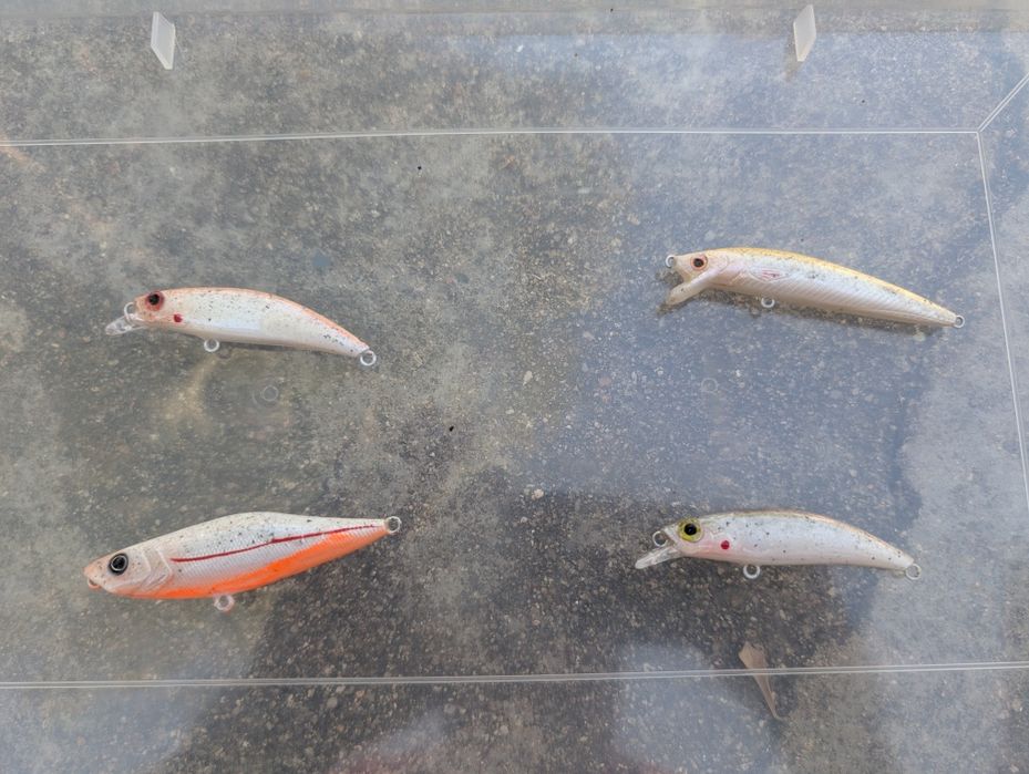 Amostras de pesca personalizadas