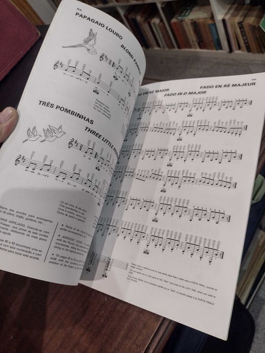 Guitarra Mágica - Fado - Eurico A. Cebolo