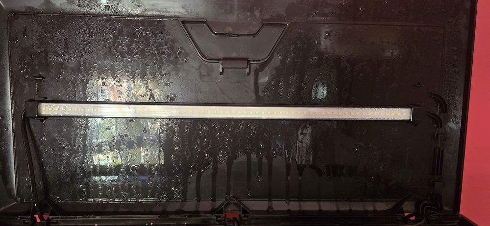 Aquário ciano 60 agua doce