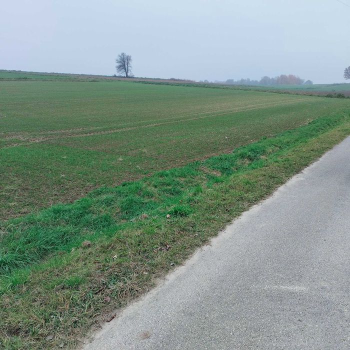 Działka rolno-budowlana