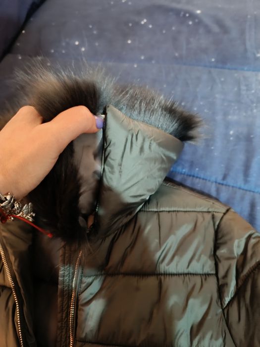 Kispo verde com pelo