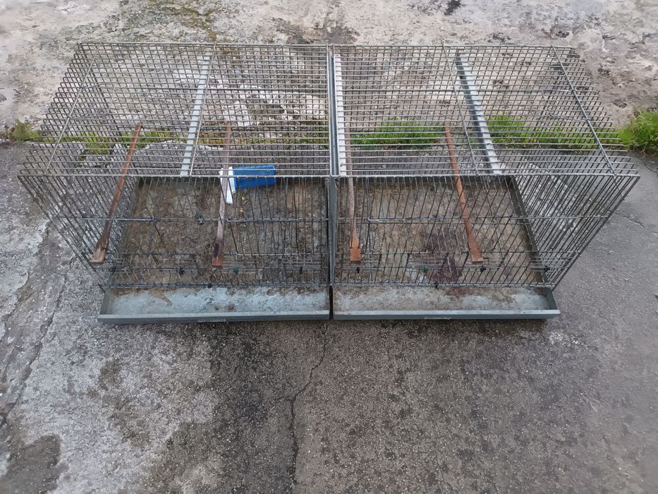 Viveiros criacao zincado