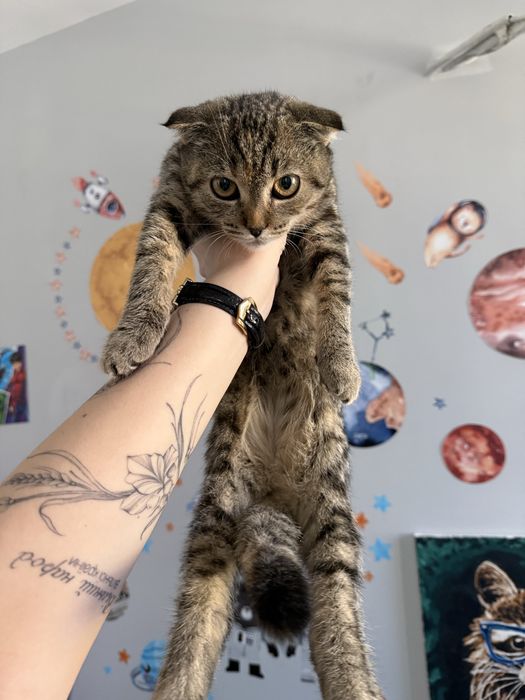 Віддам дівчинку в добрі руки