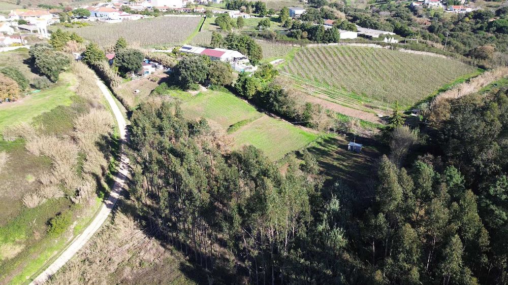 Aluguer Boxes para Cavalos