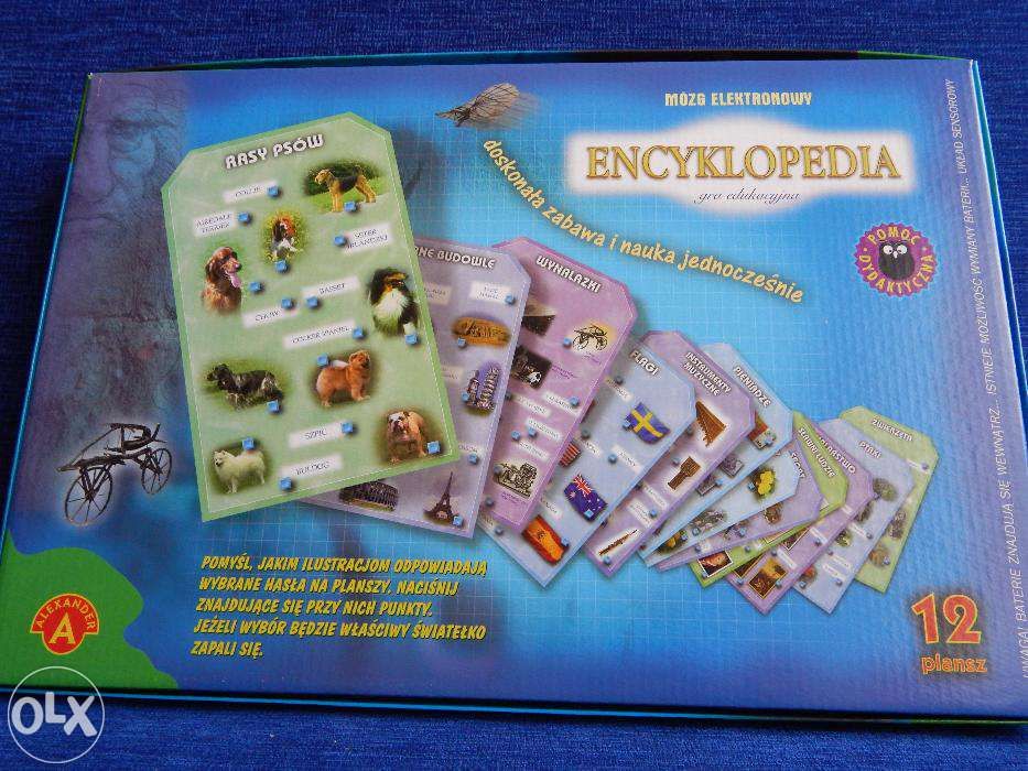 Gra edukacyjna, encyklopedia mózg elektronowy