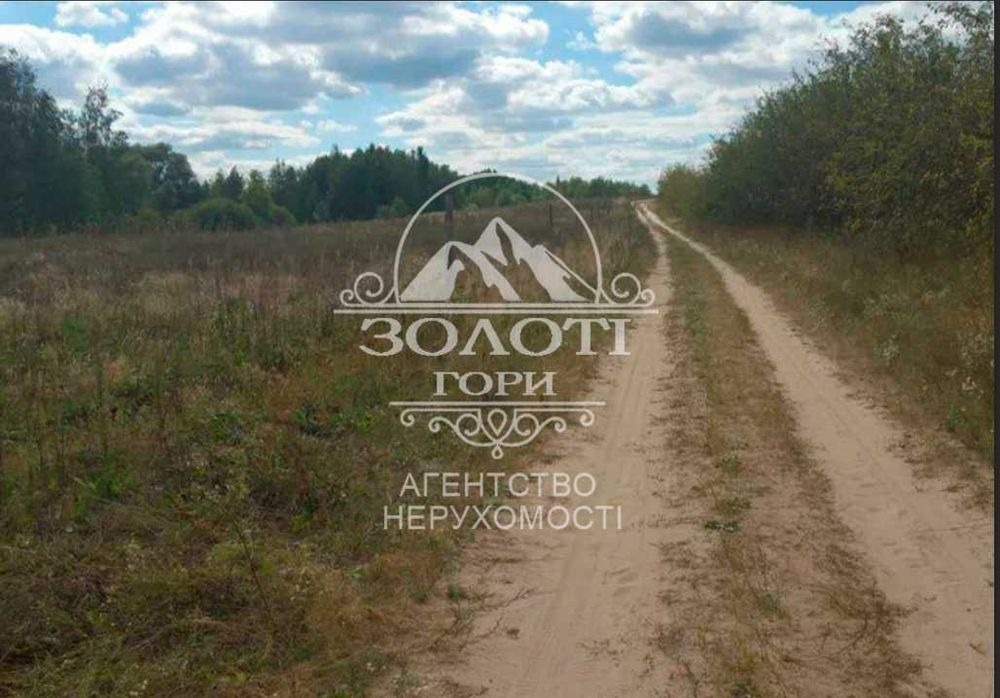 Лісники,ділянка 80 соток,Поряд котеджне містечко