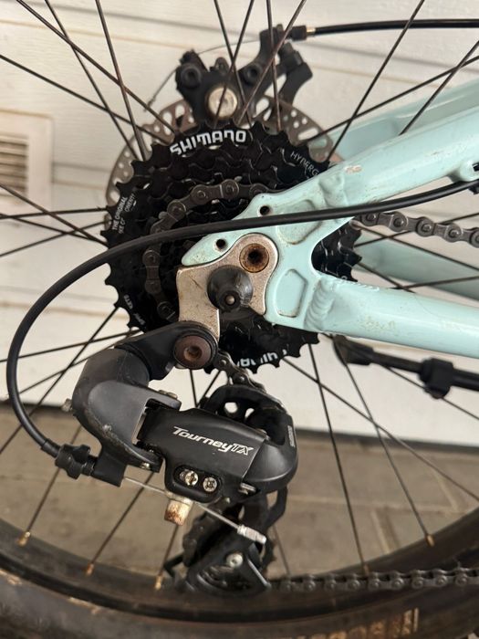 Scott Contenssa Rigid 24 . Kola 24