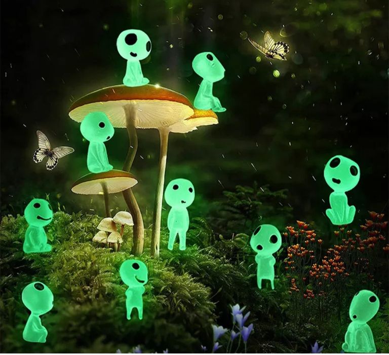 10 Fantasminhas/espíritos que brilham decoração plantas, Suculentas