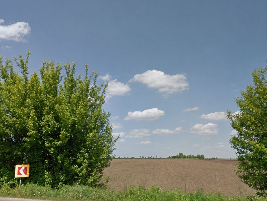Фото ділянки