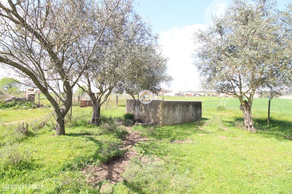 Terreno Rústico Urbanizável com 11.750 m2, Localizado em Motrinos em d