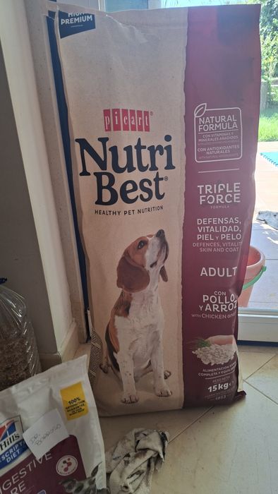 3 sacos de ração para cão Picart- Nutri Best Adulto com validade até 11/10/2027