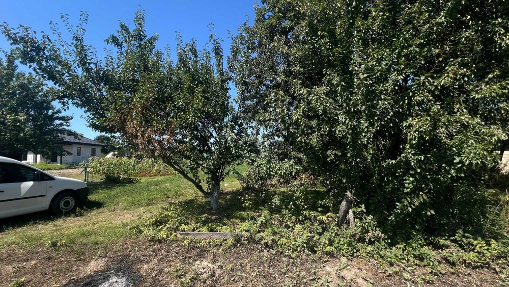 Земельна ділянка 24 сотки з свердловиною Шевченкове Броварський район